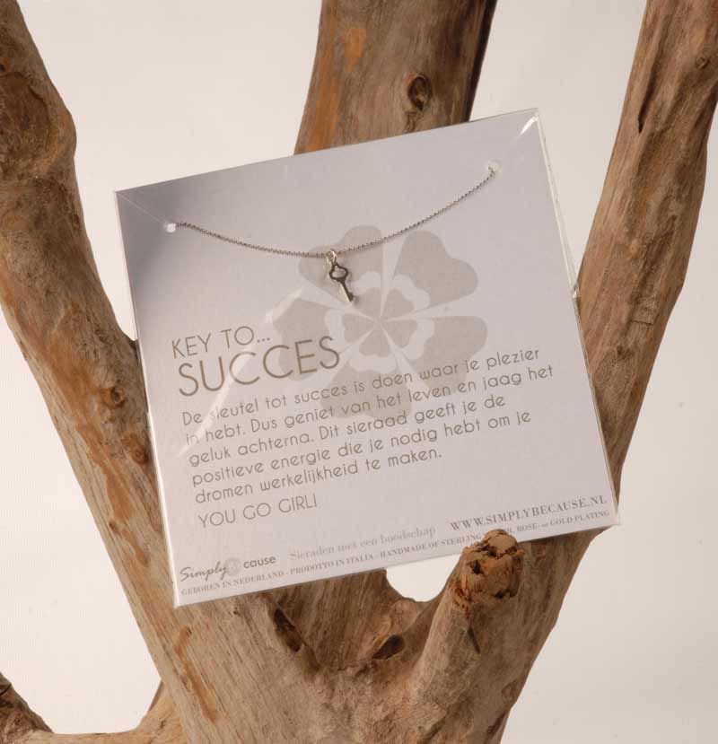 Key to succes! Ketting