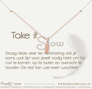 Take it slow! Ketting