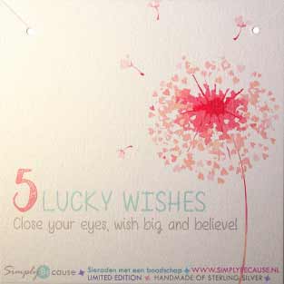 5 Lucky Wishes Ketting