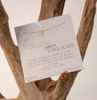 Follow your dreams! Armband