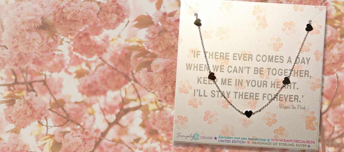 hartjes ketting zilver of geelgoud